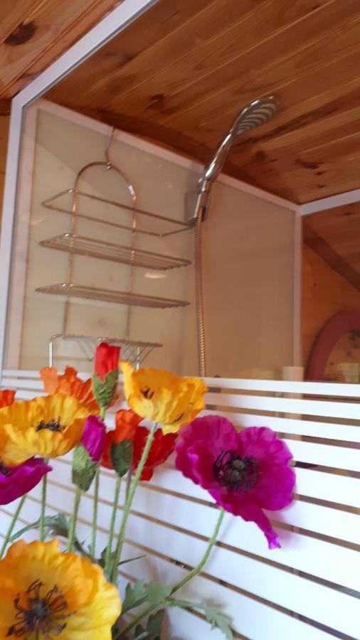Chambres Et Roulotte De La Gentilhommiere Chazey-sur-Ain Zewnętrze zdjęcie